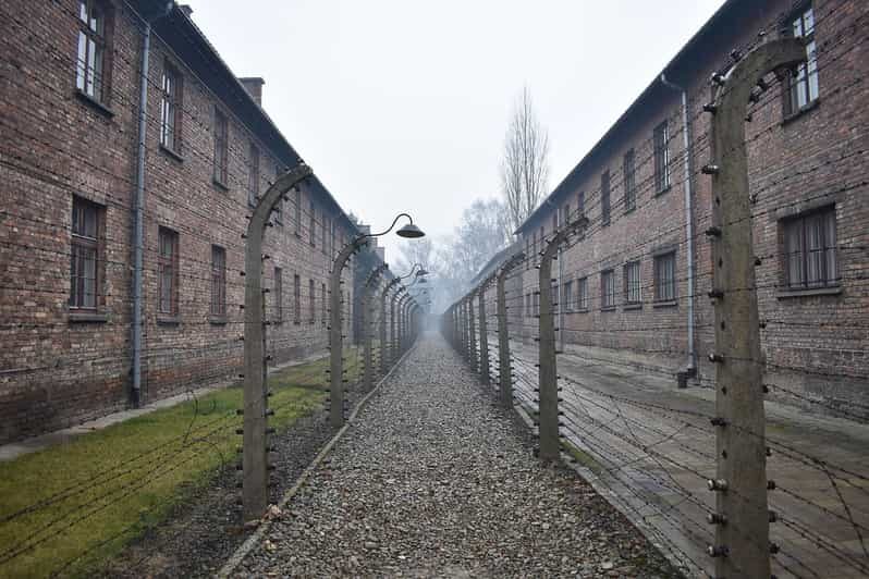 Krakow: Auschwitz-Birkenau Guided Tour or Self-Guided Tour - The Sum Up