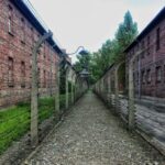 Krakow: Auschwitz-Birkenau Guided Tour with Hotel Transfer - Exploring the Auschwitz-Birkenau Guided Tour
