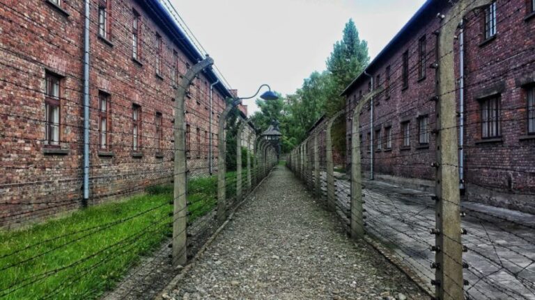 Krakow: Auschwitz-Birkenau Guided Tour with Hotel Transfer - Exploring the Auschwitz-Birkenau Guided Tour