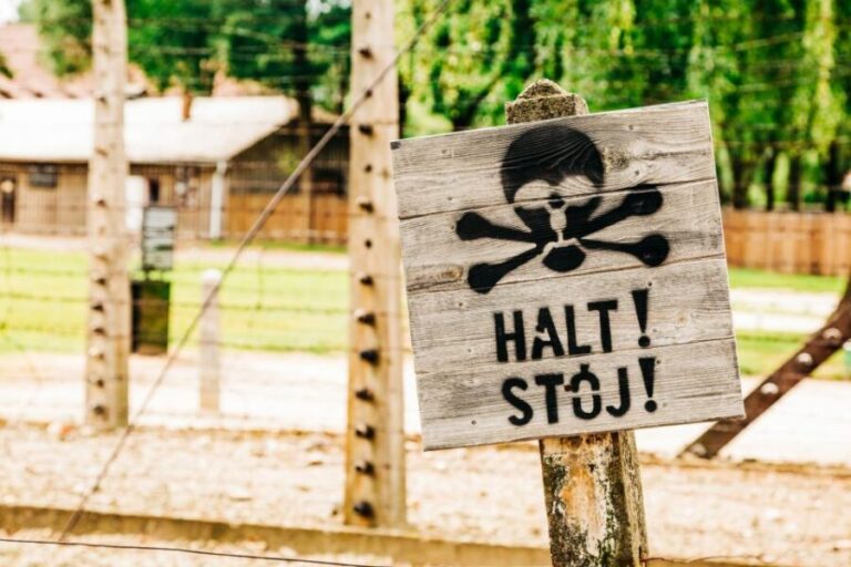 Krakow: Auschwitz-Birkenau Live Guided Tour & Hotel Pickup - Who Will Love This Tour?