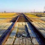 Krakow: Auschwitz-Birkenau Memorial Tour with Optional Lunch - Who Is This Tour Best For?