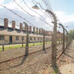 Krakow: Auschwitz Birkenau Museum Guided Tour with Pickup - Who Should Consider This Tour?
