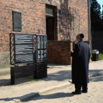 Krakow: Auschwitz-Birkenau Private Guided Tour - A Deep Dive into the Auschwitz-Birkenau Experience