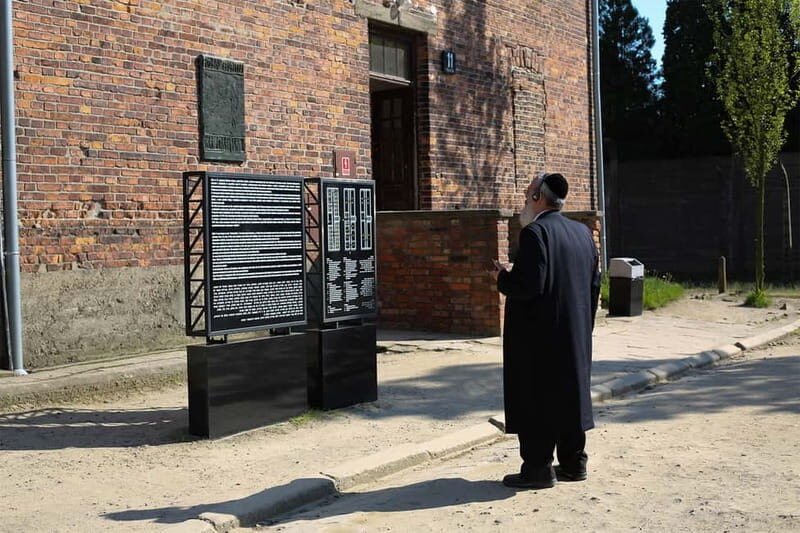 Krakow: Auschwitz-Birkenau Private Guided Tour - A Deep Dive into the Auschwitz-Birkenau Experience