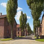 Krakow: Auschwitz Guided Tour with Optional Hotel Pickup - The Experience: Pros and Cons