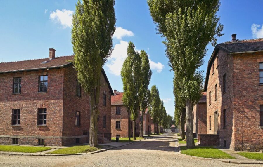 Krakow: Auschwitz Guided Tour with Optional Hotel Pickup - The Experience: Pros and Cons