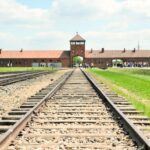 Krakow: Auschwitz Guided Tour with Pickup and Optional Lunch - Itinerary Breakdown: What You Will Experience