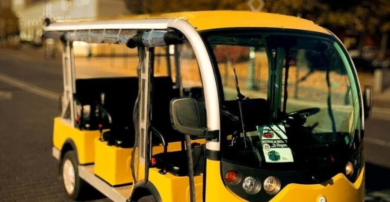 Krakow Highlights - Private Sightseeing Car Tour - Who Should Consider This Tour?