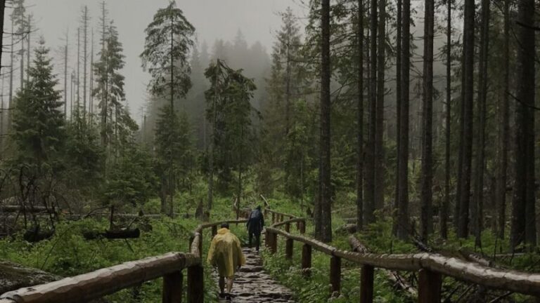 Krakow: Hiking Adventure in Tatra Mountains & Thermal Baths - The Return and Practicalities