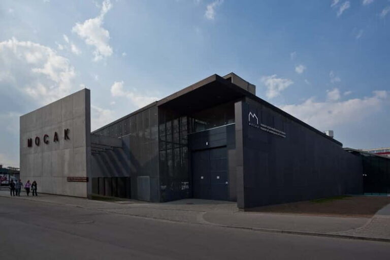 Krakow: MOCAK Contemporary Art Museum Entry Ticket - Who Should Visit MOCAK?