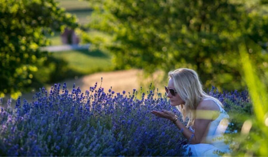 Kraków: Private Lavender Fields & Vineyard Tasting Tour - Exploring Lesser Poland’s Countryside: A Scenic Retreat from Kraków