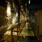 Krakow: Wawel Castle, Cathedral, Rynek Underground & Lunch - Practical Details: What You Need to Know