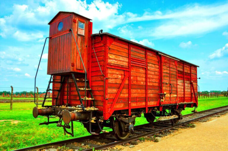 Krakow: Wieliczka Salt Mine and Auschwitz-Birkenau Tour - Who Should Consider This Tour?