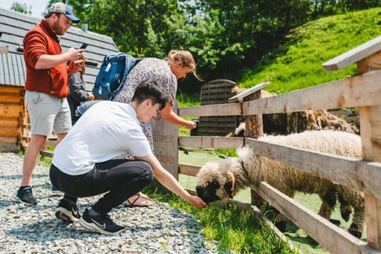 Krakow: Zakopane Day Trip with Funicular & Thermal Pools - A Well-Balanced Day Trip Filled With Highlights