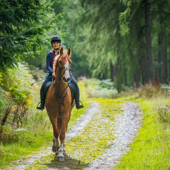 Krakow: Zakopane Horseback Ride & Cheese Tasting & Cable Car - Horseback Riding in the Tatra Mountains