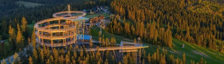 Krakow: Zakopane, Mountains Treetop Walk & Thermal Baths - An In-Depth Look at the Zakopane Day Trip
