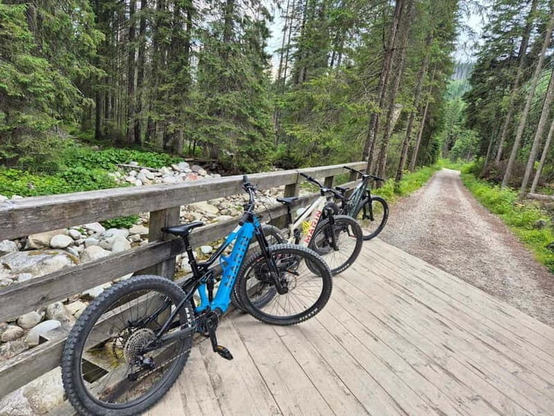 Krakow: Zakopane & Tatra Mountains E-Bike Tour & Spa - A Closer Look at the Experience