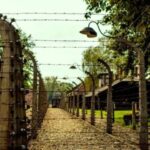 Krakow:Guided Auschwitz-Birkenau Tour - Transport by Minivan - FAQ