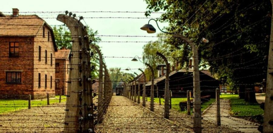 Krakow:Guided Auschwitz-Birkenau Tour - Transport by Minivan - FAQ