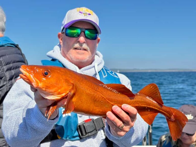 Kristiansand: Guided Sea Fishing Experience - Discovering Kristiansand’s Marine Charms