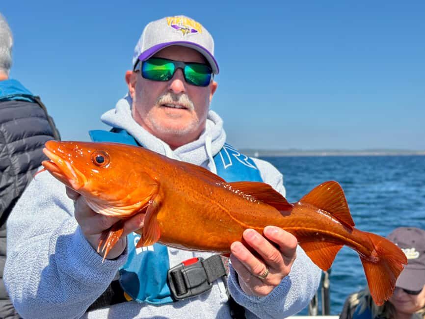 Kristiansand: Guided Sea Fishing Experience - Discovering Kristiansand’s Marine Charms