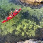 Kristiansand: Scenic Double Sea Kayak Tour around Odderoya - Why This Kayak Tour Offers Real Value