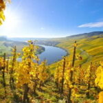 Kröv/Gut Hermes: Wine tour & tasting through the vineyard, winery, and sparkling wine production facility - FAQs