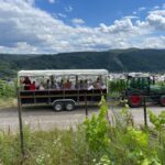 Kröv, Moselle: COVERED WAGON RIDE through the vineyards with wine tasting - Exploring the Tour: What to Expect