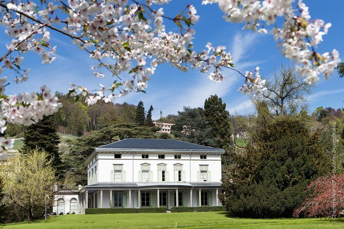 (KTG303) - Winter Montreux, Chillon & Chaplin's World from Geneva - Who Should Consider This Tour?