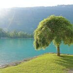 (KTG361) - Interlaken day trip by bus from Geneva - Who Is This Tour Best For?