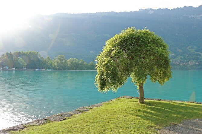 (KTG361) - Interlaken day trip by bus from Geneva - Who Is This Tour Best For?