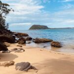 Ku ring gai National Park Hike with Beach and Picnic - An In-Depth Look at the Ku-ring-gai Chase National Park Hike with Beach and Picnic Tour