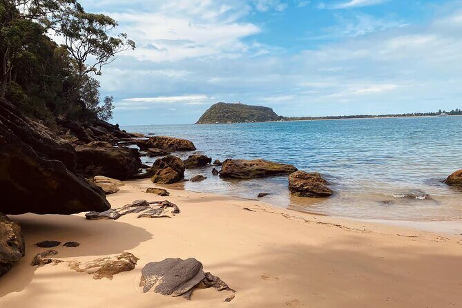 Ku ring gai National Park Hike with Beach and Picnic - An In-Depth Look at the Ku-ring-gai Chase National Park Hike with Beach and Picnic Tour