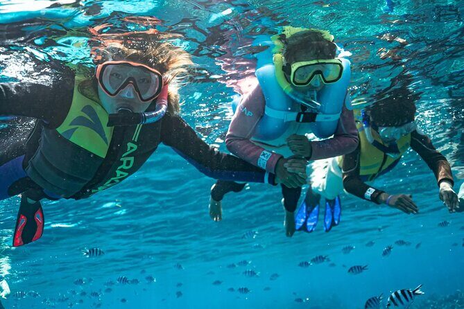 Kuata Island Marine Conservation Experience with Lunch - Who Should Book This Tour?