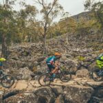 kunanyi/Mt Wellington Explorer Bus - One Way Tour - Who Should Consider This Tour?
