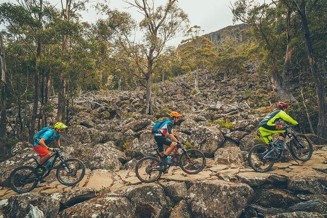 kunanyi/Mt Wellington Explorer Bus - One Way Tour - Who Should Consider This Tour?