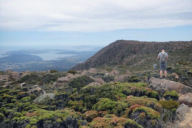 kunanyi/Mt Wellington Explorer Bus- Return Tour (2.5 hours) - FAQ about the kunanyi/Mt Wellington Explorer Bus Tour