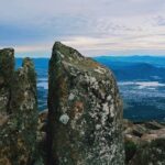 kunanyi/Mt Wellington Tour and MONA Admission - Frequently Asked Questions