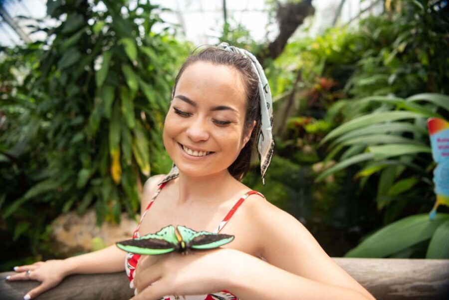 Kuranda: Australian Butterfly Sanctuary - Who Will Love This Experience?