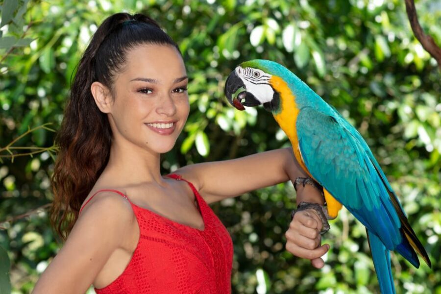 Kuranda: Birdworld Entry Ticket - Who Will Love Birdworld Kuranda?