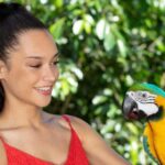 Kuranda by Design, a VIP package experience - A Deep Dive into the Kuranda by Design VIP Package
