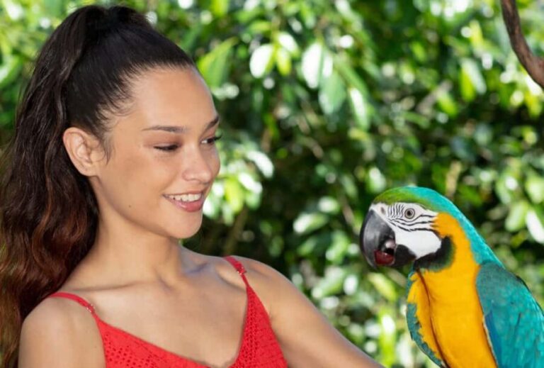 Kuranda by Design, a VIP package experience - A Deep Dive into the Kuranda by Design VIP Package