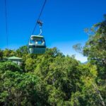 Kuranda Day Tour, TKS-RFS CLASSIC GOLD PLUS 0930 - What Makes This Tour Stand Out