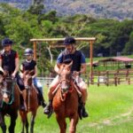 Kuranda Half Day with Petting Zoo & Horse Trail Ride Tour - Why This Tour Works for Travelers