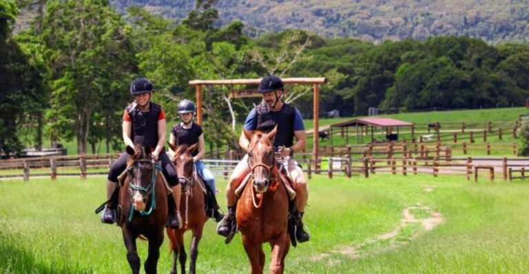Kuranda Half Day with Petting Zoo & Horse Trail Ride Tour - Why This Tour Works for Travelers