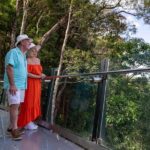 Kuranda Scenic Railway & Skyrail Tour from Port Douglas - Why This Tour Works Well for Travelers