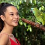 Kuranda Wildlife Experience Deluxe Multi Attraction Pass - An In-Depth Look at the Experience