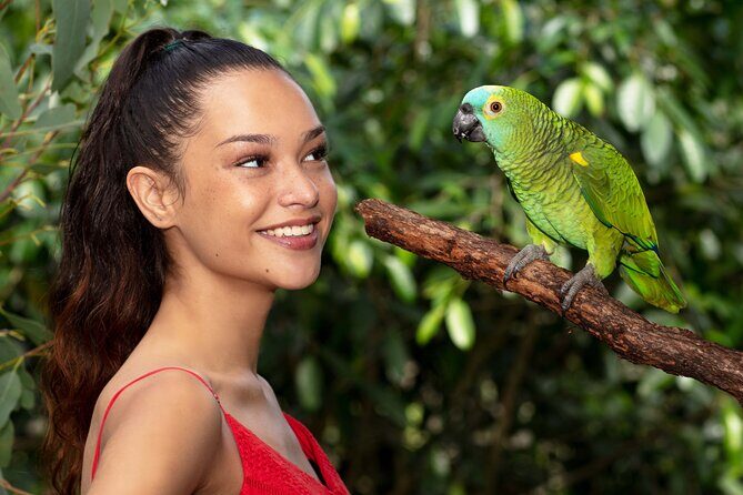 Kuranda Wildlife Experience Deluxe Multi Attraction Pass - An In-Depth Look at the Experience