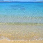 Kusadas National Park Boat Tour - The Sum Up
