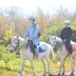 Kusadasi: Beach and Forest Horse Riding Tour - The Sum Up